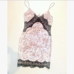 NWOT Blue Blush Clothing Pink velvet lace dress